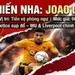 Tiền vệ Joao Gomes trở thành mục tiêu tranh giành của Manchester United và Liverpool - Cập nhật tin chuyển nhượng bóng đá mới nhất tại Xoilac TV.